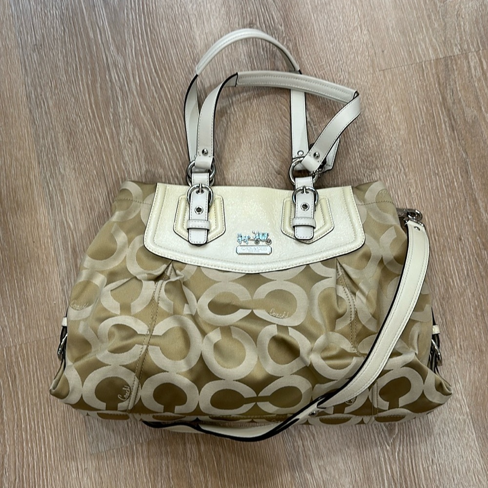 Coach Carryall